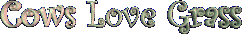 Click for Love Grass